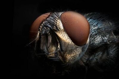 RdeVliegh's profile picture. Pap van 2 | Muziekliefhebber | Sportliefhebber | Liefhebber in het algemeen