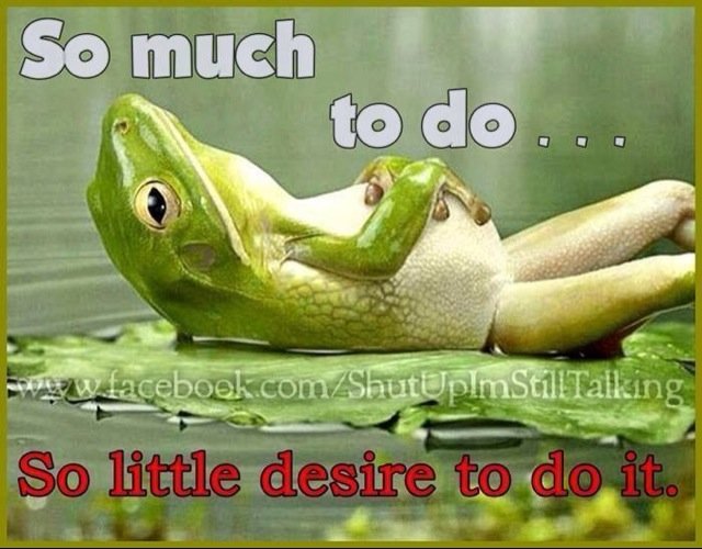 Rachel Elliott Profile