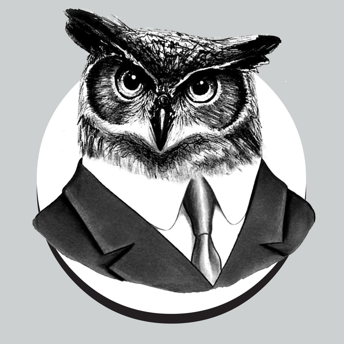 fowlowlerson's profile picture. I'm an owl who writes for @Attractions, explores theme parks, and snacks on the occasional rodent.