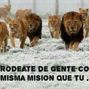 EjecutivoEmpresarial (@01Empresarial) Twitter
