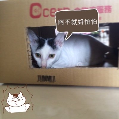 看過書或是正在看的