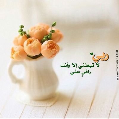 مهاوي أحب الخير للكل