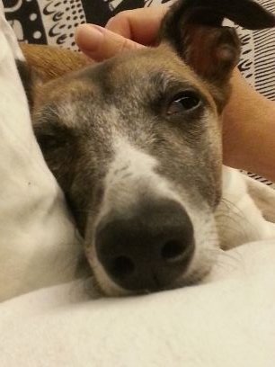 madairob's profile picture. Antifascista, antirazzista, anarchico nel senso più alto del suo significato. No bandierine. Umanista!

Blocco fascisti, leghisti, renzini e imbecilli in genere