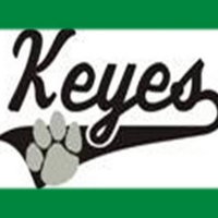 Tiger Cubs (@keyestigercubs) 's Twitter Profile