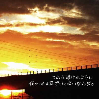 gias1130shu's profile picture. 