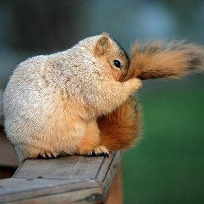 AlexandraD1968's profile picture. 