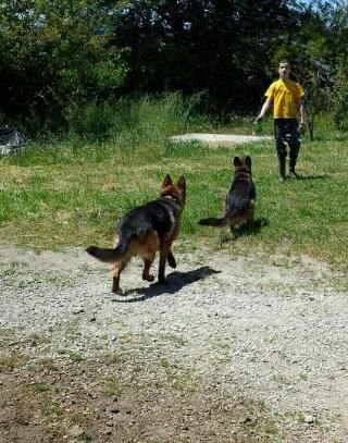 fabianlpeztubio's profile picture. biografia