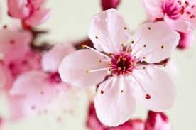 We walk through this life oblivious to the beauty that surrounds us. The one constant is that the sun shines even when it is cloudy.