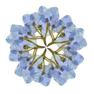 whirlytweets's profile picture. We are Whirly Collective, a close-knit group of independent artists, illustrators and friends.