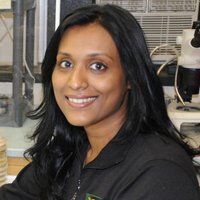 Febina Mathew (@febina_m) 's Twitter Profile
