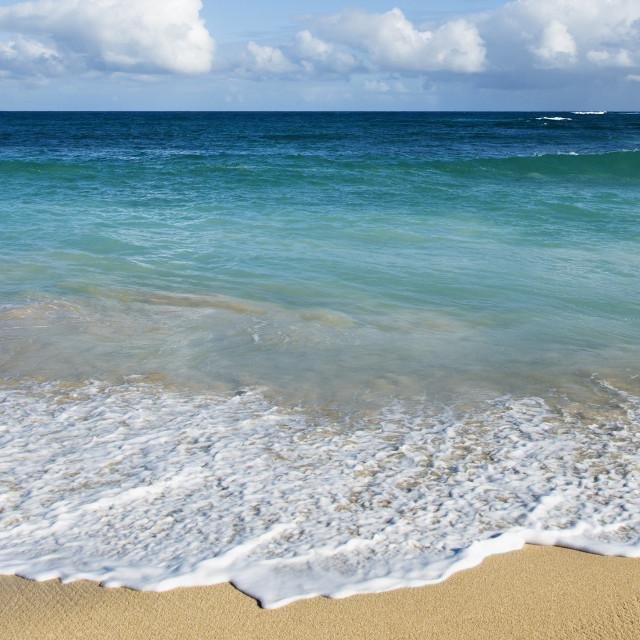 yourbeachmusic's profile picture. 