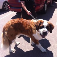 Gamespot50134 (@1535) 's Twitter Profile