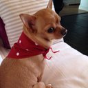 Jackie Ralph - @jackie_ralph - Twitter