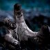 Zombie Consulting (@zombieconsult) Twitter profile photo