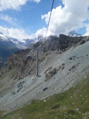 bertiblom's profile picture. 