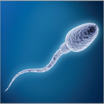 classof2051's profile picture. 