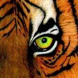 lushgreentours's profile picture. 11, Jaai Bheem Nagar, Jabalpur