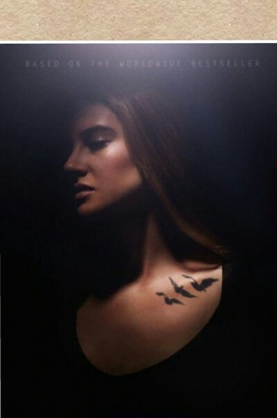Fear doesn't shut me down it always wakes me up I can't fit into a fraction because what I am