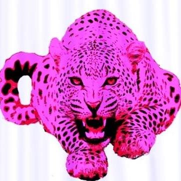 pinkleopardglam's profile picture. online accessories store