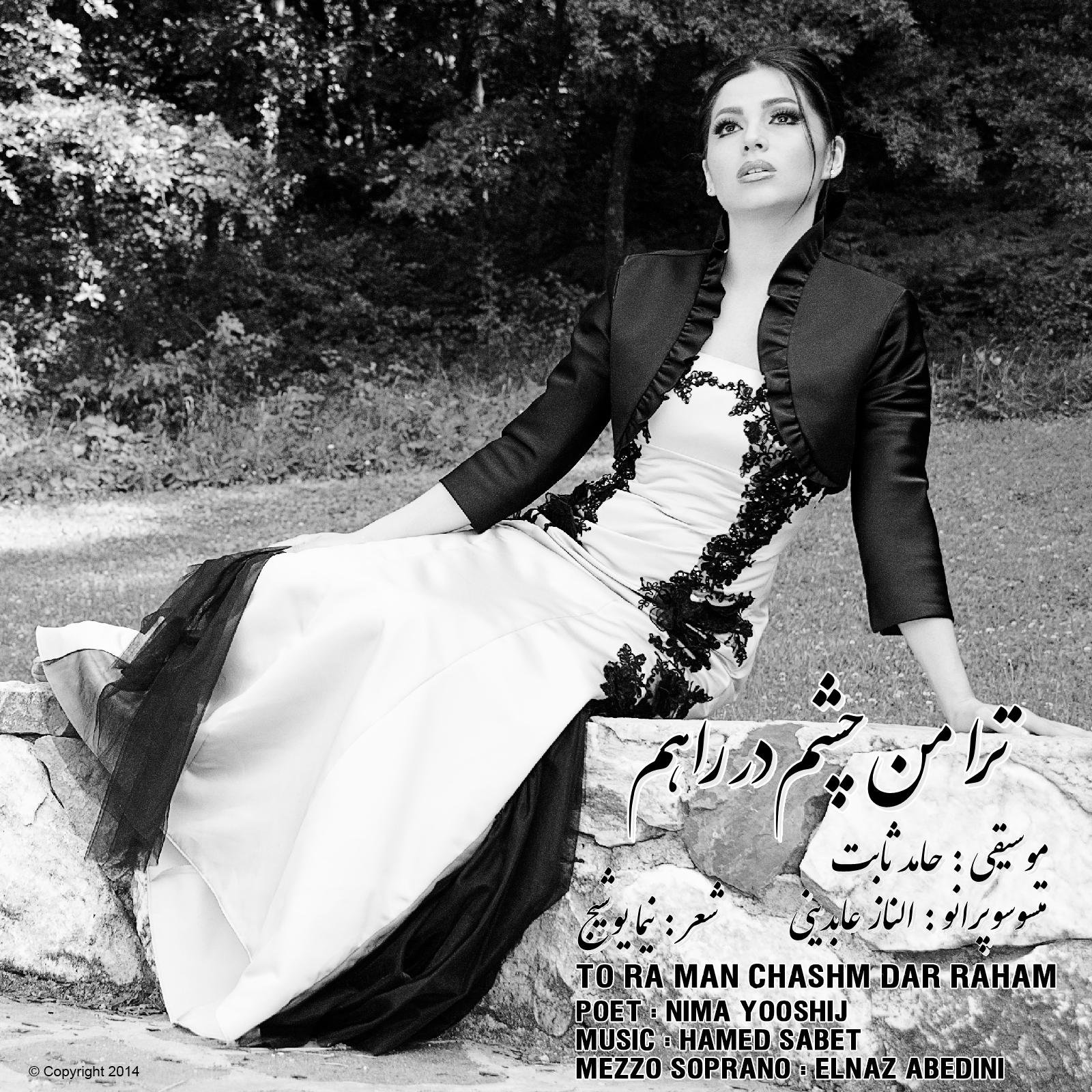 ElAbedini's profile picture. classical Singer