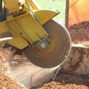 Stump grinding is our primary business! Whether you have 1 stump or 100 to remove we are the #1 choice to do the job. (334) 201-0361