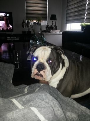 cj_colinjansen's profile picture. 