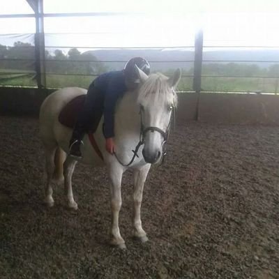 I'm band obsessed ✌ Born to ride horses  Love my horse McAuly Gamer just smile and say your fine , no one really cares anyway ..Youtube