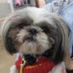 日常生活の中で起こった出来事などをつぶやいていこうと思っています。相互フォロー大歓迎です！よろしくお願いします。