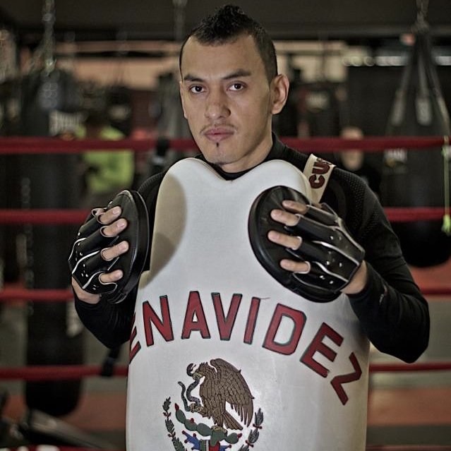 BenavidezBoxing Profile Picture