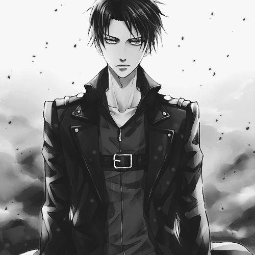 levipls_levipls's profile picture. Levi Levi Levi