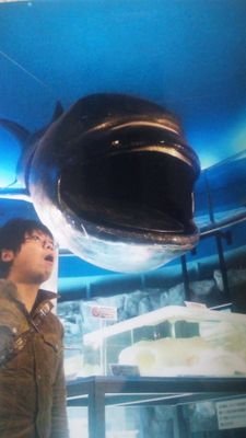 green_birthday's profile picture. スナヤツメ探しはお任せ