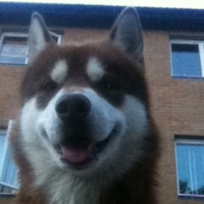 Im 14, i am going to be doing youtube soon my elgato stopped working and my computer erased my data...