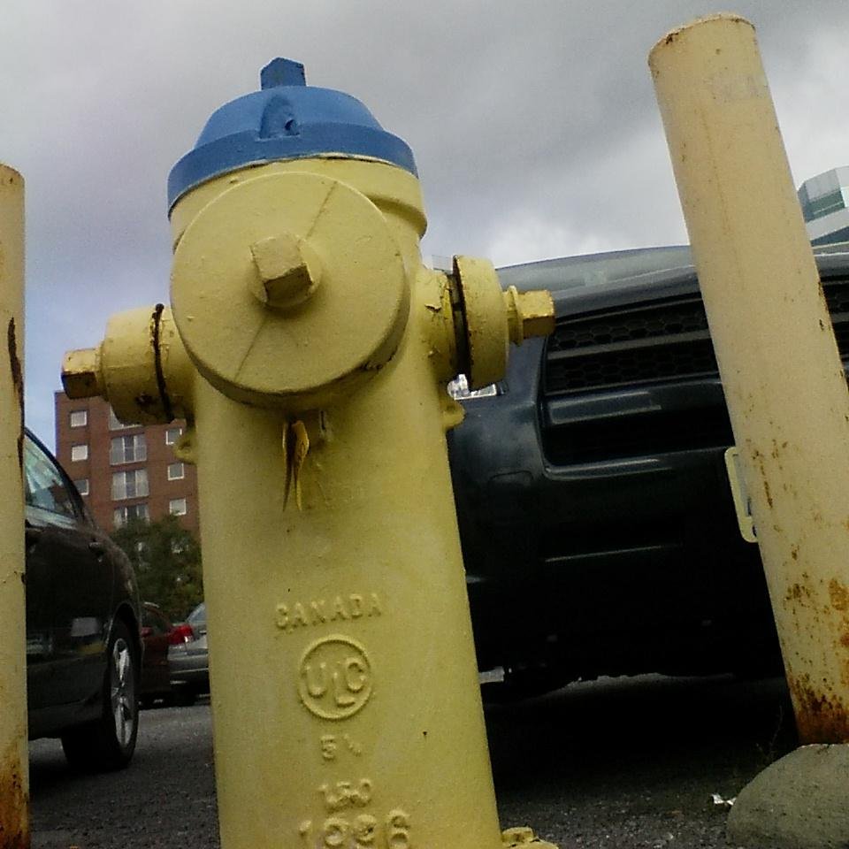 prestonhydrant's profile picture. I live on Beech street. Stop by to say hello. But park up the street. Trust me on this.