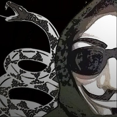 I think therefor I am dangerous.

We are Anonymous 
We are Legion
We do not forgive 
We do not forget 
Expect us