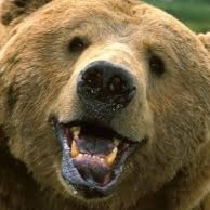 kpow100's profile picture. Room 100 at Hannah Beardsley Middle School