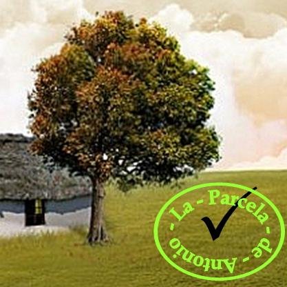 AntonioParcela's profile picture. Organizo mi trabajo. El orden me da equilibrio y más tiempo libre. Curioso. Insomne y matutino. Y andariego.#Productividad #VidaSimple