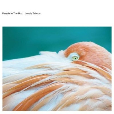 Lovelytaboos_mv's profile picture. 「People In The Box」のシングル「Lovely Taboos」収録の3曲「笛吹き男」、「市民」、「子供たち」のミュージックビデオを自主制作するという企画です。興味のある方はチェックお願いします！