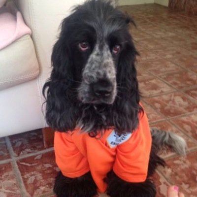 puyol335 Profile Picture