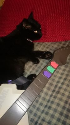 栃木県北で音ゲー全般(主にギター)とモンハンやってまする。ヽ(・∀・)ノ