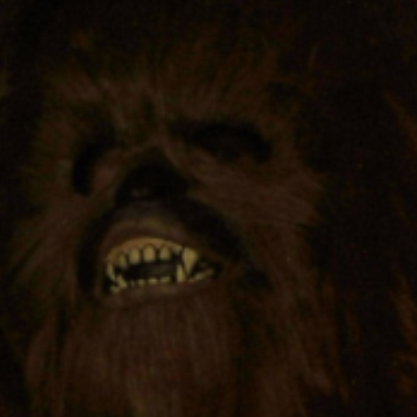 What did you expect to find here, a pocket sized wookiee?
