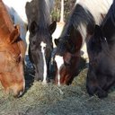 Cathy Vazquez - @Cathyvazquez64 - Twitter