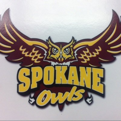 SpokOwls1's profile picture. 