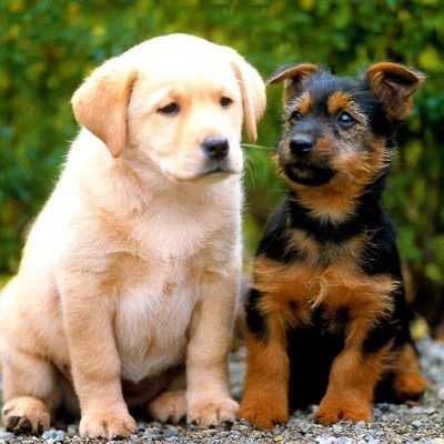 oscarovelar55's profile picture. 