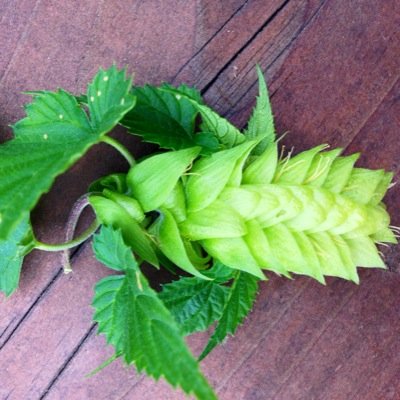 kirsteniverson's profile picture. a series of lasts and firsts with a bit of meandering in between