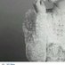 شهرزاد الليل [قابُوس (@__zad_) Twitter profile photo