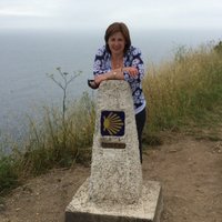 Prof Margery McMahon (@margery25) 's Twitter Profile