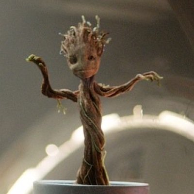 I am Groot. I am Groot @MarvelTower