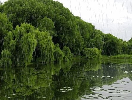 ‏( منقولات أعجبتني.)
الامل يذهب ثم يعود متى ماذهب الامل راقبوه لكن لا تودعوه ابداً 
وداع الامل موت على قيد الحياة!.

ربي إغفرلي ولوالدي