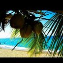 Ellen Hatch - @hatch_ellen - Twitter