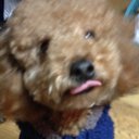 新保貴範 (@1027_rikky) Twitter
